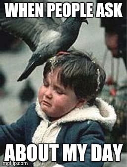 Bird Poop Blues | WHEN PEOPLE ASK; ABOUT MY DAY | image tagged in bird poop blues | made w/ Imgflip meme maker