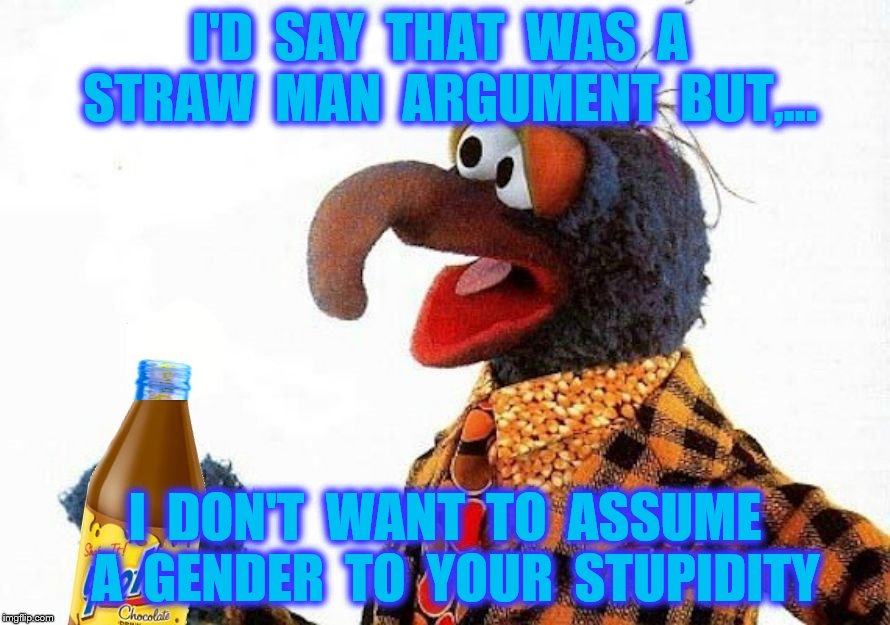 Ain't That Sweet? |  I'D  SAY  THAT  WAS  A  STRAW  MAN  ARGUMENT  BUT,... I  DON'T  WANT  TO  ASSUME  A  GENDER  TO  YOUR  STUPIDITY | image tagged in gonzo,muppets,stupid people,stupid,gender,gender identity | made w/ Imgflip meme maker