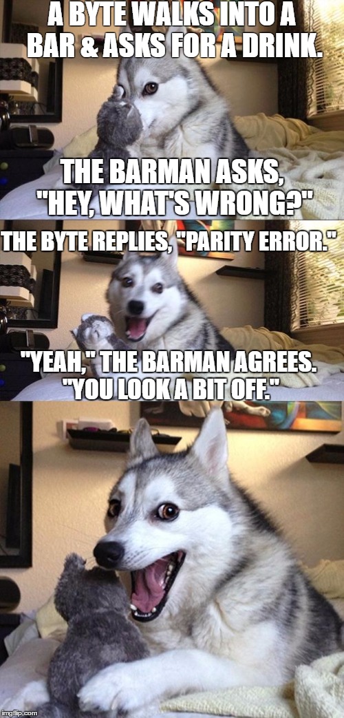 Bad Joke Dog | A BYTE WALKS INTO A BAR & ASKS FOR A DRINK. THE BARMAN ASKS, "HEY, WHAT'S WRONG?"; THE BYTE REPLIES, "PARITY ERROR."; "YEAH," THE BARMAN AGREES. "YOU LOOK A BIT OFF." | image tagged in bad joke dog | made w/ Imgflip meme maker
