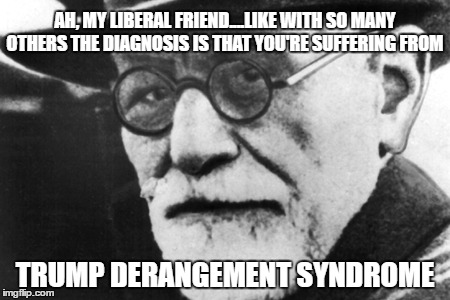 Sigmund says.... | AH, MY LIBERAL FRIEND....LIKE WITH SO MANY OTHERS THE DIAGNOSIS IS THAT YOU'RE SUFFERING FROM; TRUMP DERANGEMENT SYNDROME | image tagged in liberals,memes,donald trump approves,politics,liberal vs conservative,liberal tears | made w/ Imgflip meme maker
