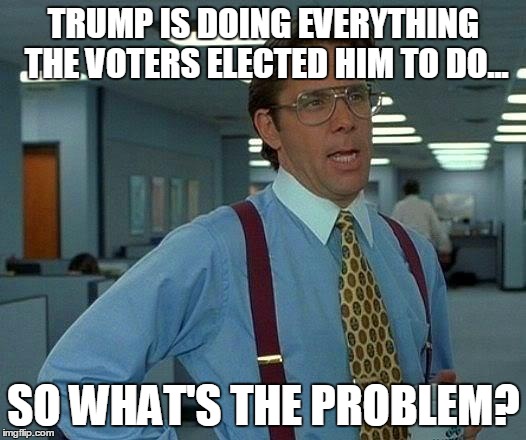 That Would Be Great Meme | TRUMP IS DOING EVERYTHING THE VOTERS ELECTED HIM TO DO... SO WHAT'S THE PROBLEM? | image tagged in memes,that would be great | made w/ Imgflip meme maker