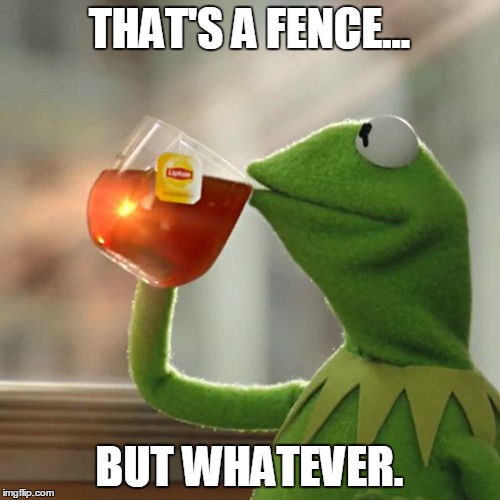 But That's None Of My Business Meme | THAT'S A FENCE... BUT WHATEVER. | image tagged in memes,but thats none of my business,kermit the frog | made w/ Imgflip meme maker