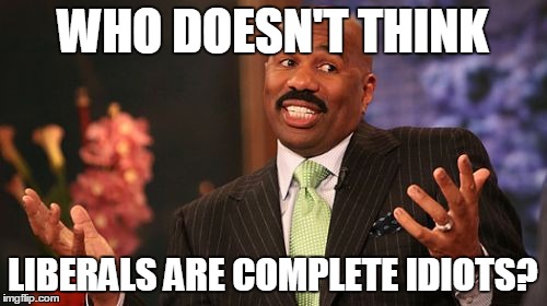 Steve Harvey Meme | WHO DOESN'T THINK LIBERALS ARE COMPLETE IDIOTS? | image tagged in memes,steve harvey | made w/ Imgflip meme maker