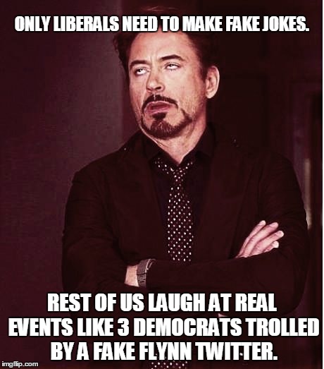 Fixed2 | ONLY LIBERALS NEED TO MAKE FAKE JOKES. REST OF US LAUGH AT REAL EVENTS LIKE 3 DEMOCRATS TROLLED BY A FAKE FLYNN TWITTER. | image tagged in fixed2 | made w/ Imgflip meme maker
