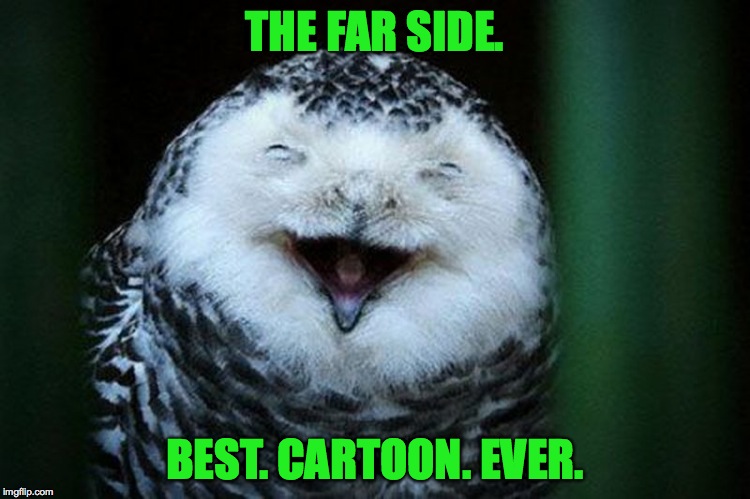 THE FAR SIDE. BEST. CARTOON. EVER. | made w/ Imgflip meme maker