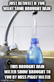 refilling water bottle | JUST RETWEET IF YOU WANT SOME DROUGHT RAIN; THIS DROUGHT RAIN WATER SHOW BROUGHT TO YOU BY MISS PIGGY WATER | image tagged in refilling water bottle | made w/ Imgflip meme maker