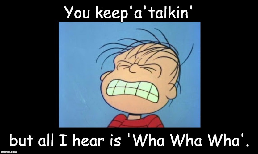 Angry Linus | You keep'a'talkin'; but all I hear is 'Wha Wha Wha'. | image tagged in angry linus,peanuts | made w/ Imgflip meme maker