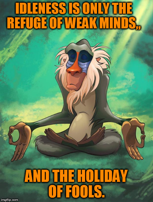 Rafiki wisdom | IDLENESS IS ONLY THE REFUGE OF WEAK MINDS,, AND THE HOLIDAY OF FOOLS. | image tagged in rafiki wisdom | made w/ Imgflip meme maker