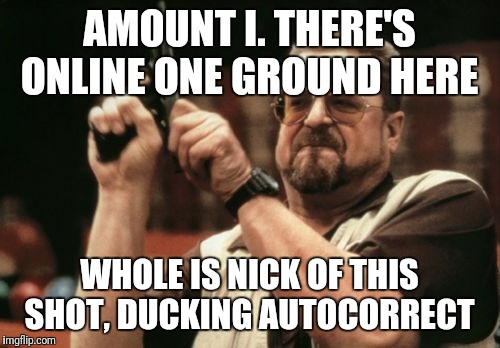 Am I The Only One Around Here | AMOUNT I. THERE'S ONLINE ONE GROUND HERE; WHOLE IS NICK OF THIS SHOT, DUCKING AUTOCORRECT | image tagged in memes,am i the only one around here | made w/ Imgflip meme maker