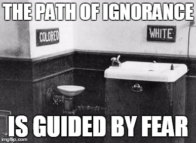 Ignorance is guided by fear | THE PATH OF IGNORANCE; IS GUIDED BY FEAR | image tagged in water fountains of racism,jedi_wisdom_meme,ignorance,fear | made w/ Imgflip meme maker