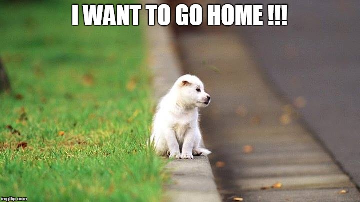 I WANT TO GO HOME !!! | image tagged in home | made w/ Imgflip meme maker