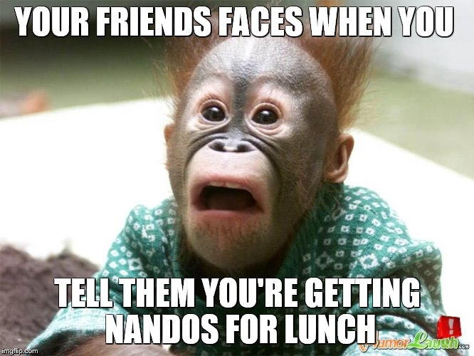 YOUR FRIENDS FACES WHEN YOU; TELL THEM YOU'RE GETTING NANDOS FOR LUNCH | image tagged in memes,awesome,gasp,monkey,cute | made w/ Imgflip meme maker