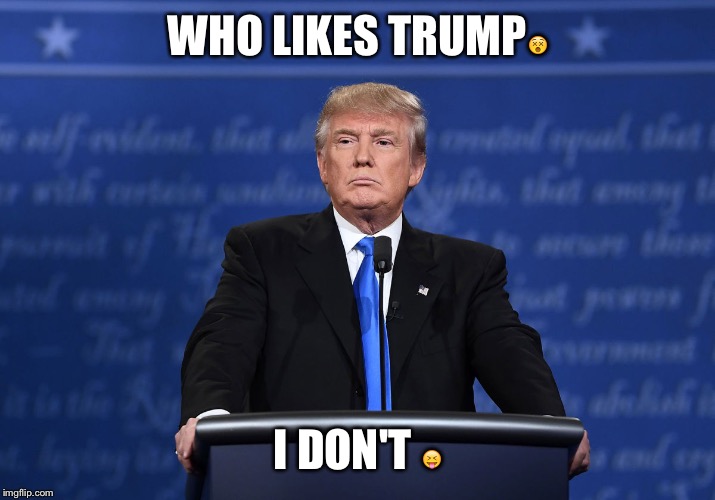 WHO LIKES TRUMP😵; I DON'T 😝 | image tagged in donald trump | made w/ Imgflip meme maker