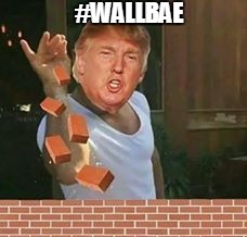 #WALLBAE | image tagged in trump,wall,nafgfdg | made w/ Imgflip meme maker