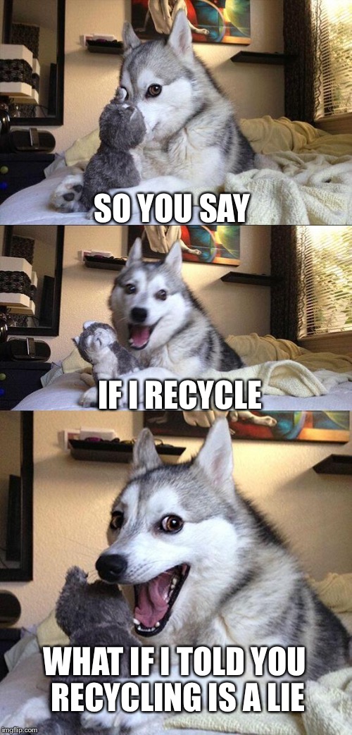 Bad Pun Dog Meme | SO YOU SAY; IF I RECYCLE; WHAT IF I TOLD YOU RECYCLING IS A LIE | image tagged in memes,bad pun dog | made w/ Imgflip meme maker