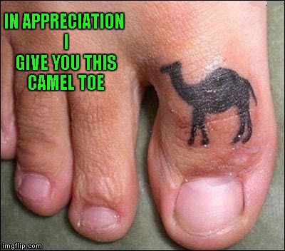 IN APPRECIATION I GIVE YOU THIS CAMEL TOE | made w/ Imgflip meme maker