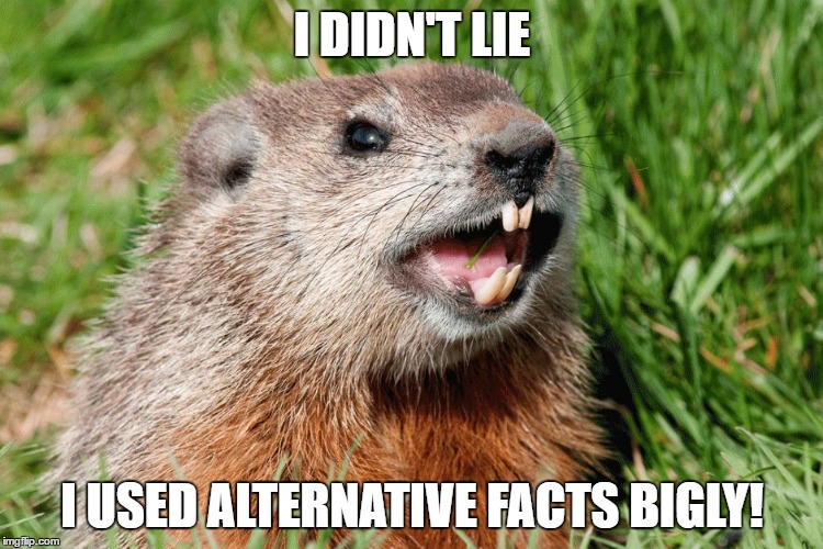 ayy lmao groundhog | I DIDN'T LIE; I USED ALTERNATIVE FACTS BIGLY! | image tagged in ayy lmao groundhog | made w/ Imgflip meme maker