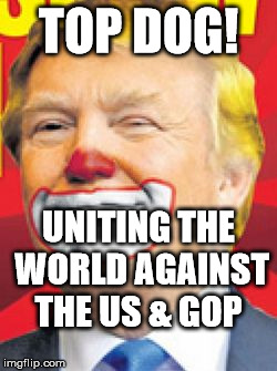 Donald Trump the Clown | TOP DOG! UNITING THE WORLD AGAINST THE US & GOP | image tagged in donald trump the clown | made w/ Imgflip meme maker