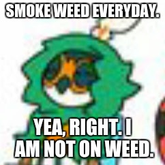 SMOKE WEED EVERYDAY. YEA, RIGHT. I AM NOT ON WEED. | image tagged in yea,right | made w/ Imgflip meme maker