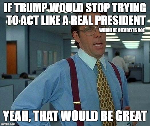 That Would Be Great Meme |  IF TRUMP WOULD STOP TRYING TO ACT LIKE A REAL PRESIDENT; WHICH HE CLEARLY IS NOT; YEAH, THAT WOULD BE GREAT | image tagged in memes,that would be great | made w/ Imgflip meme maker