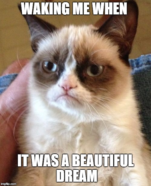Grumpy Cat Meme |  WAKING ME WHEN; IT WAS A BEAUTIFUL DREAM | image tagged in memes,grumpy cat | made w/ Imgflip meme maker