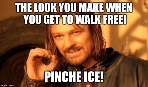 One Does Not Simply Meme | THE LOOK YOU MAKE WHEN YOU GET TO WALK FREE! PINCHE ICE! | image tagged in memes,one does not simply | made w/ Imgflip meme maker