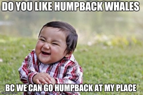 Evil Toddler Meme | DO YOU LIKE HUMPBACK WHALES; BC WE CAN GO HUMPBACK AT MY PLACE | image tagged in memes,evil toddler | made w/ Imgflip meme maker