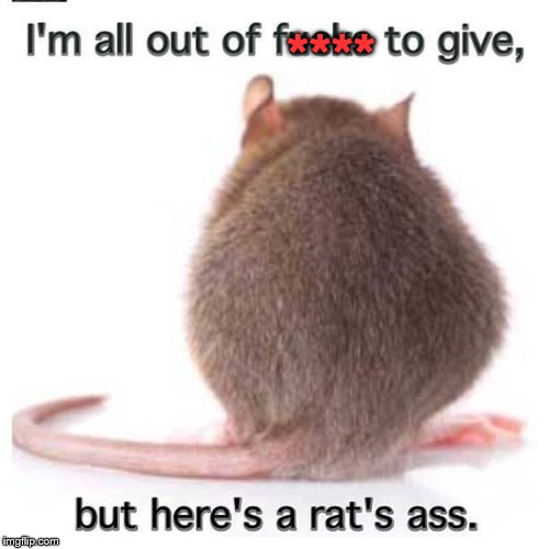 I don't care! | **** | image tagged in rat's ass,i don't care,opinion,your opinion | made w/ Imgflip meme maker