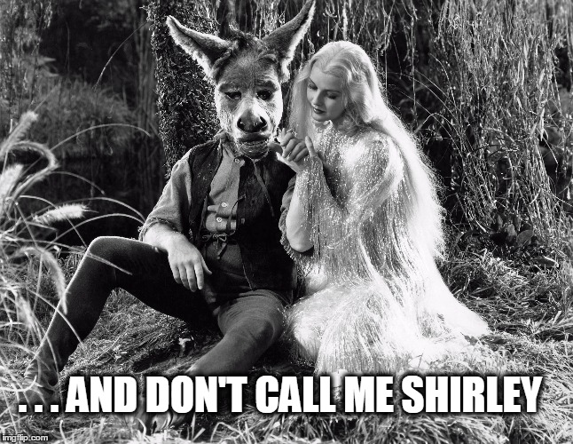 . . . AND DON'T CALL ME SHIRLEY | image tagged in don't call me shirley,leslie nielsen,donkey,horseplay,classic rock | made w/ Imgflip meme maker