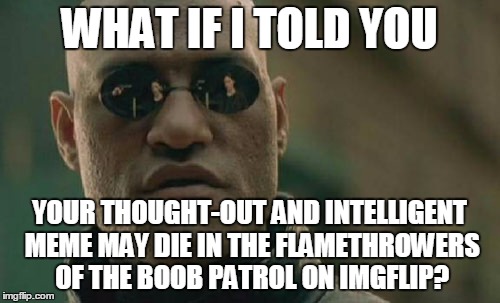 Matrix Morpheus Meme | WHAT IF I TOLD YOU YOUR THOUGHT-OUT AND INTELLIGENT MEME MAY DIE IN THE FLAMETHROWERS OF THE BOOB PATROL ON IMGFLIP? | image tagged in memes,matrix morpheus | made w/ Imgflip meme maker