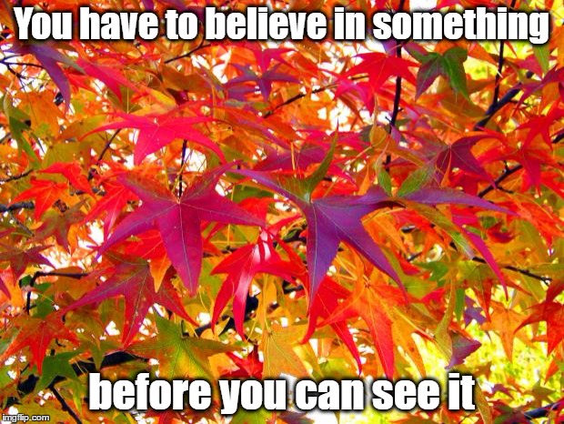 You have to believe in something; before you can see it | image tagged in internal faith | made w/ Imgflip meme maker