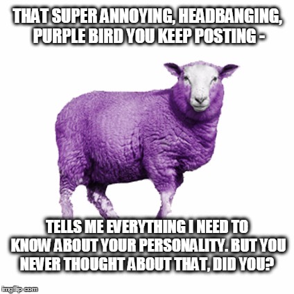 Purple-pidgeon-sheep | THAT SUPER ANNOYING, HEADBANGING, PURPLE BIRD YOU KEEP POSTING -; TELLS ME EVERYTHING I NEED TO KNOW ABOUT YOUR PERSONALITY. BUT YOU NEVER THOUGHT ABOUT THAT, DID YOU? | image tagged in purple,pidgeon,bird,headbanging,facebook,sheep | made w/ Imgflip meme maker