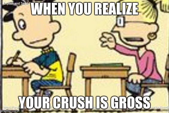 Crush is gross | WHEN YOU REALIZE; YOUR CRUSH IS GROSS | image tagged in funny memes | made w/ Imgflip meme maker