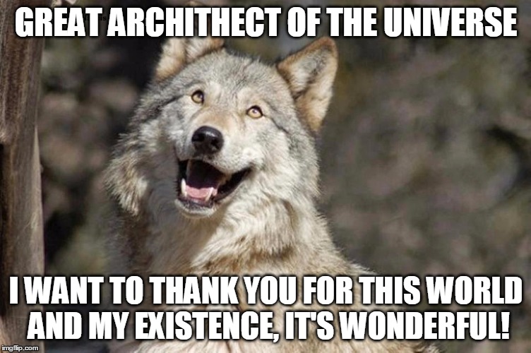 Optimistic Moon Moon Wolf Vanadium Wolf | GREAT ARCHITHECT OF THE UNIVERSE; I WANT TO THANK YOU FOR THIS WORLD AND MY EXISTENCE, IT'S WONDERFUL! | image tagged in optimistic moon moon wolf vanadium wolf | made w/ Imgflip meme maker