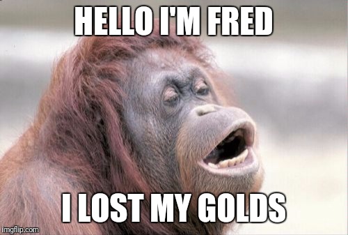 Monkey OOH | HELLO I'M FRED; I LOST MY GOLDS | image tagged in memes,monkey ooh | made w/ Imgflip meme maker