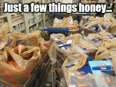 Just a few things honey... | image tagged in groceries,lolz | made w/ Imgflip meme maker