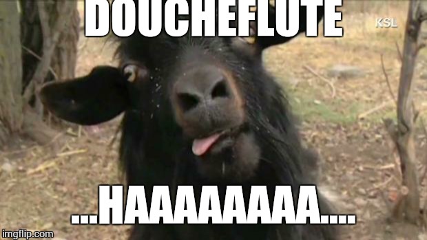 goatsister | DOUCHEFLUTE; ...HAAAAAAAA.... | image tagged in goatsister | made w/ Imgflip meme maker