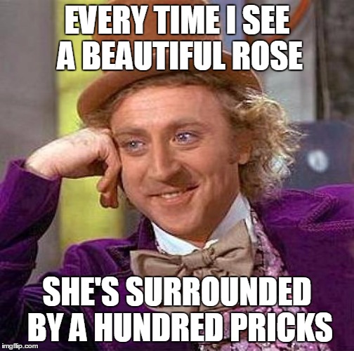 Creepy Condescending Wonka Meme | EVERY TIME I SEE A BEAUTIFUL ROSE SHE'S SURROUNDED BY A HUNDRED PRICKS | image tagged in memes,creepy condescending wonka | made w/ Imgflip meme maker
