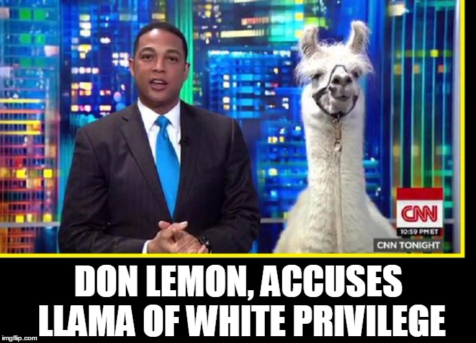 Careful, Don... Llamas Like to Spit | DON LEMON, ACCUSES LLAMA OF WHITE PRIVILEGE | image tagged in vince vance,llama,cnn,white privilege,don lemon | made w/ Imgflip meme maker