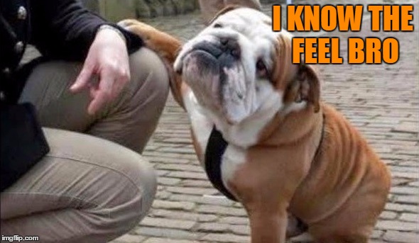 There There Dog | I KNOW THE FEEL BRO | image tagged in there there dog | made w/ Imgflip meme maker