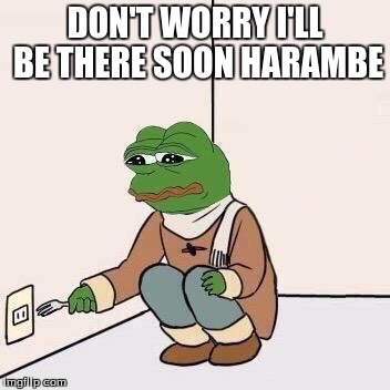 Sad Pepe Suicide | DON'T WORRY I'LL BE THERE SOON HARAMBE | image tagged in sad pepe suicide | made w/ Imgflip meme maker