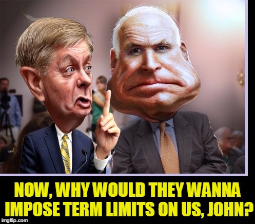 I've Only Been in Washington 34 Years | NOW, WHY WOULD THEY WANNA IMPOSE TERM LIMITS ON US, JOHN? | image tagged in vince vance,john mccain,lindsey graham,term limits,drain the swamp | made w/ Imgflip meme maker
