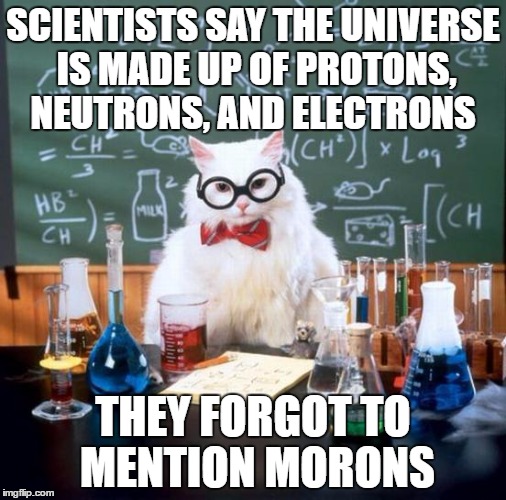 Chemistry Cat | SCIENTISTS SAY THE UNIVERSE IS MADE UP OF PROTONS, NEUTRONS, AND ELECTRONS; THEY FORGOT TO MENTION MORONS | image tagged in memes,chemistry cat | made w/ Imgflip meme maker