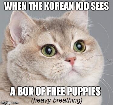 Heavy Breathing Cat | WHEN THE KOREAN KID SEES; A BOX OF FREE PUPPIES | image tagged in memes,heavy breathing cat | made w/ Imgflip meme maker