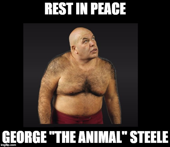 George Steele -- Rest in Peace | REST IN PEACE; GEORGE "THE ANIMAL" STEELE | image tagged in pro wrestling | made w/ Imgflip meme maker