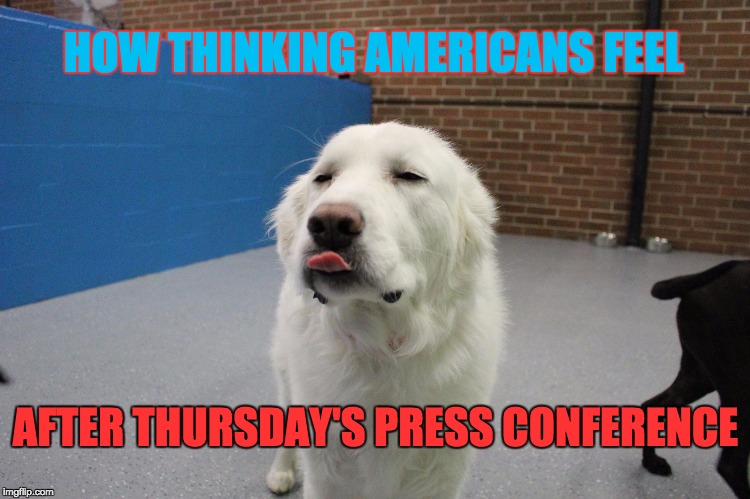 HOW THINKING AMERICANS FEEL; AFTER THURSDAY'S PRESS CONFERENCE | image tagged in stella | made w/ Imgflip meme maker