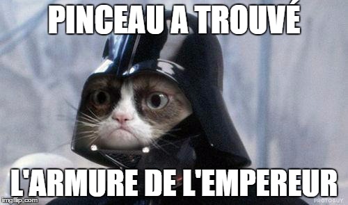 Grumpy Cat Star Wars Meme | PINCEAU A TROUVÉ; L'ARMURE DE L'EMPEREUR | image tagged in memes,grumpy cat star wars,grumpy cat | made w/ Imgflip meme maker