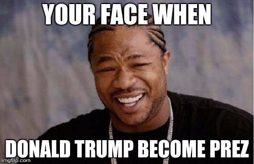 Yo Dawg Heard You | YOUR FACE WHEN; DONALD TRUMP BECOME PREZ | image tagged in memes,yo dawg heard you | made w/ Imgflip meme maker