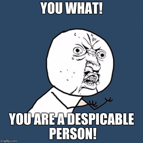 Y U No | YOU WHAT! YOU ARE A DESPICABLE PERSON! | image tagged in memes,y u no | made w/ Imgflip meme maker