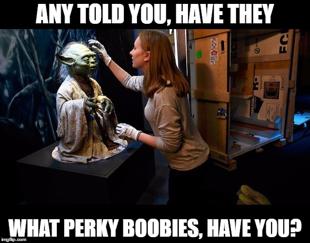 ANY TOLD YOU, HAVE THEY WHAT PERKY BOOBIES, HAVE YOU? | made w/ Imgflip meme maker